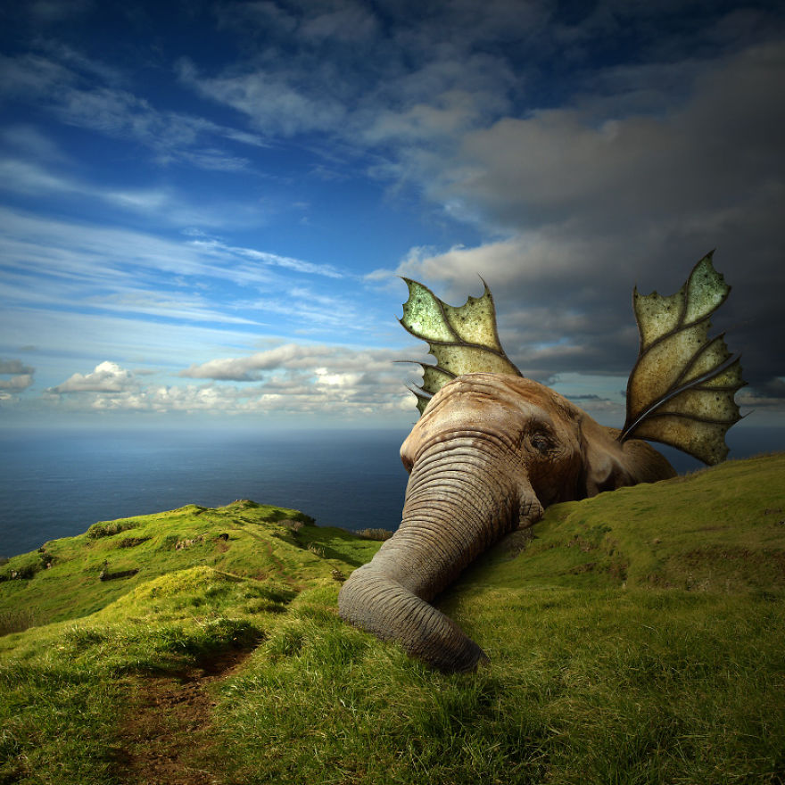 I Create Surreal Worlds For Animals To Live In Without Cruelty I Create Surreal Worlds For Animals To Live In Without Cruelty