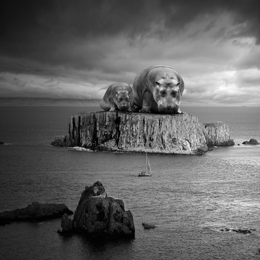 I Create Surreal Worlds For Animals To Live In Without Cruelty I Create Surreal Worlds For Animals To Live In Without Cruelty