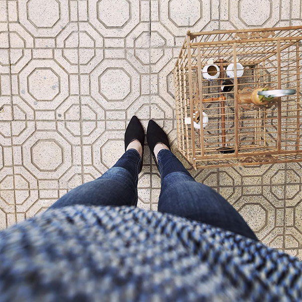 The Same Frame Everyday: An Instagram Account Full Of Colorful Daily Celebrations