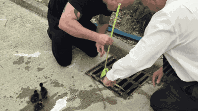 10 Heart-warming Gifs Of Humans Rescuing Animals That Will Restore Your Faith In Humanity 10 Heart-warming Gifs Of Humans Rescuing Animals That Will Restore Your Faith In Humanity