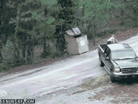 10 Heart-warming Gifs Of Humans Rescuing Animals That Will Restore Your Faith In Humanity 10 Heart-warming Gifs Of Humans Rescuing Animals That Will Restore Your Faith In Humanity