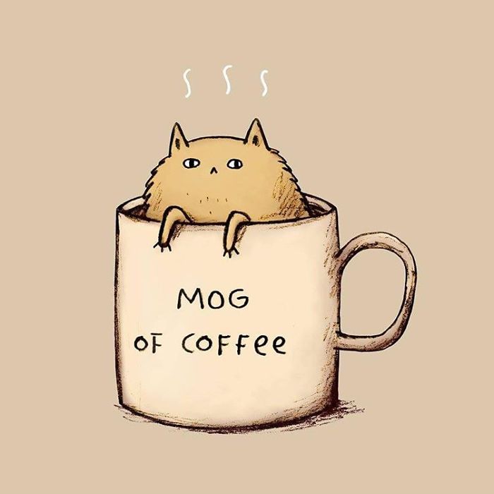 29 Funny Animal Puns To Make Your Monday Pun Again