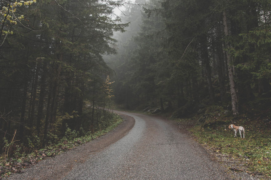 Why I Love Switzerland Why I Love Switzerland