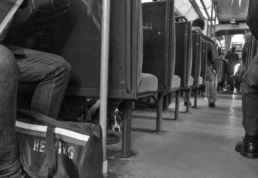 I Wake Up Early And Take Pictures Of Oslo Before People Take Pictures Of Me I Wake Up Early And Take Pictures Of Oslo Before People Take Pictures Of Me