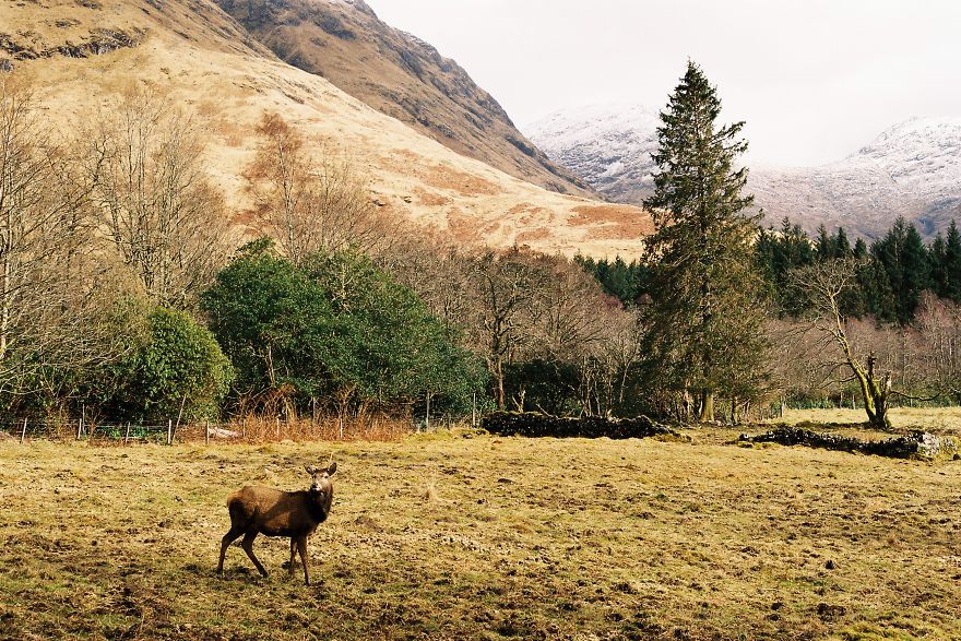 We Capture The Beauty Of Remote Scottish Landscapes We Capture The Beauty Of Remote Scottish Landscapes
