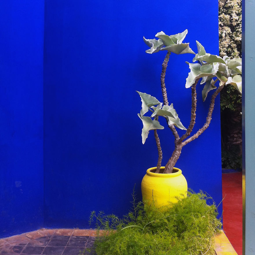 I Escaped My Gray Modern Metropolis To Capture The Awesome Colors Of Marrakech