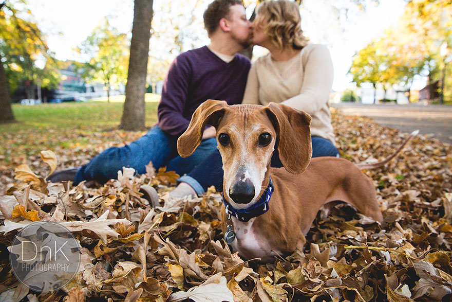 Wiener Dog Totally Photobombs Couple&#8217;s Engagement Photos