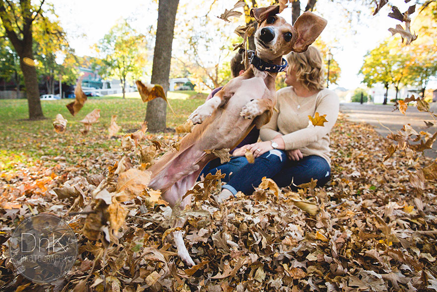Wiener Dog Totally Photobombs Couple&#8217;s Engagement Photos