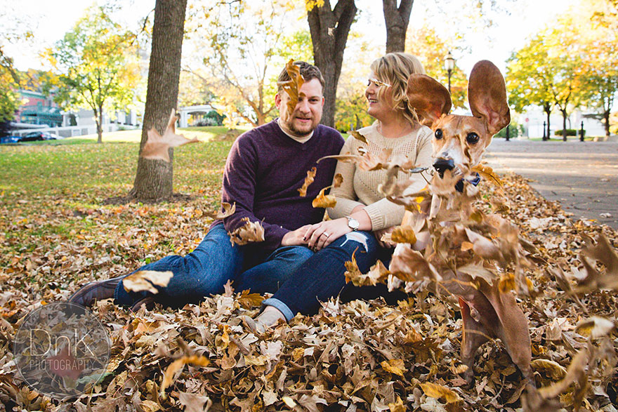 Wiener Dog Totally Photobombs Couple&#8217;s Engagement Photos
