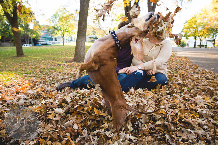Wiener Dog Totally Photobombs Couple&#8217;s Engagement Photos