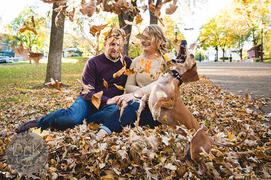 Wiener Dog Totally Photobombs Couple&#8217;s Engagement Photos