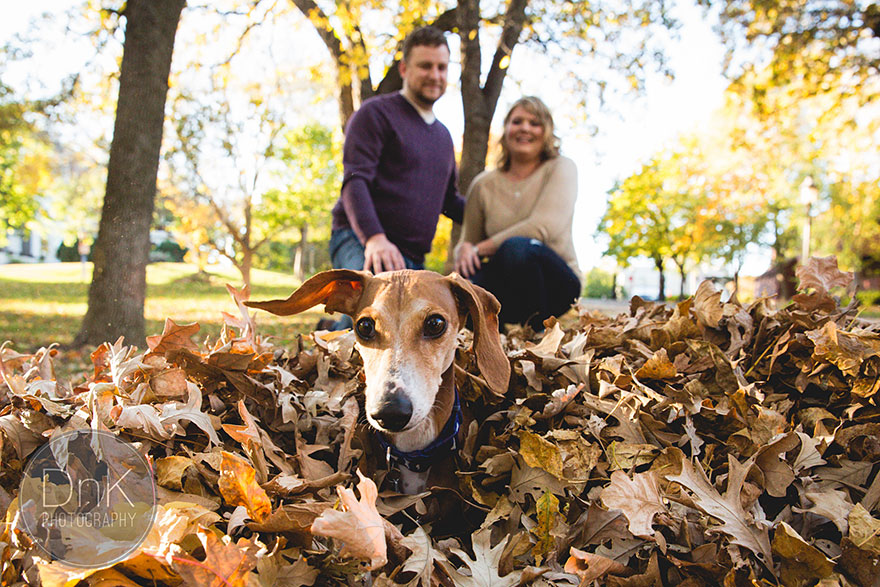 Wiener Dog Totally Photobombs Couple&#8217;s Engagement Photos