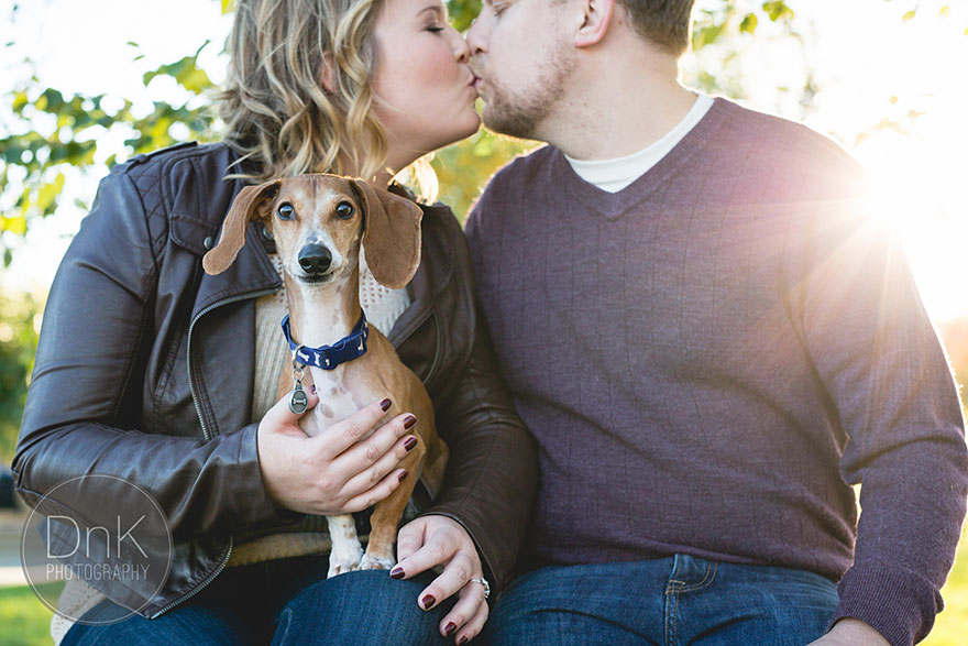 Wiener Dog Totally Photobombs Couple&#8217;s Engagement Photos