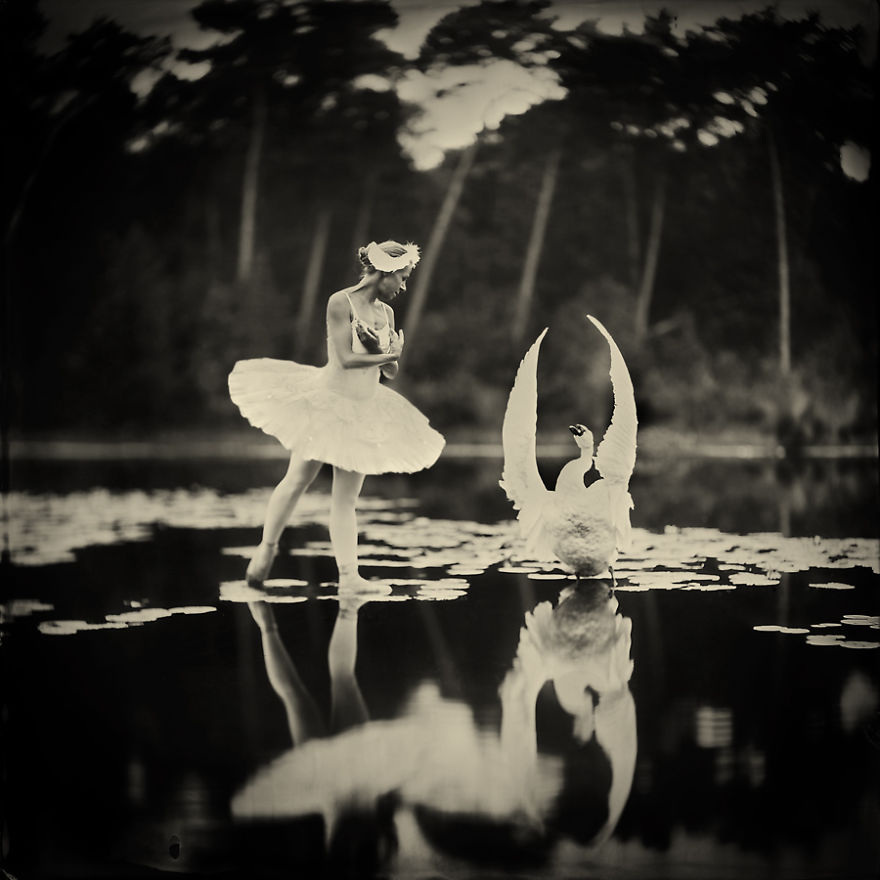 The Making Of &#8216;Swan Lake,&#8217; My Wet Plate Collodion Photo