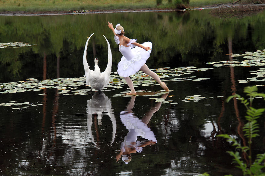 The Making Of &#8216;Swan Lake,&#8217; My Wet Plate Collodion Photo