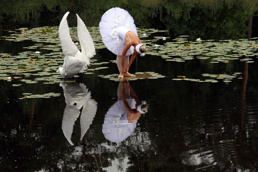 The Making Of &#8216;Swan Lake,&#8217; My Wet Plate Collodion Photo