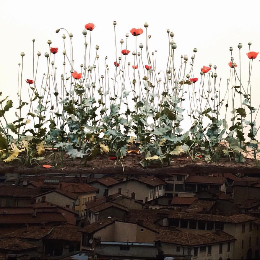 Duoseries: Surreal Images I Create By Combining Two Photos