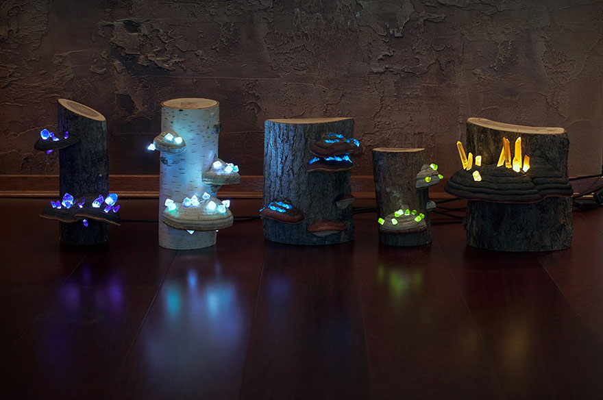 We Create Night Lamps Out Of Hand-Picked Crystals, Fallen Timber And Tree Mushrooms