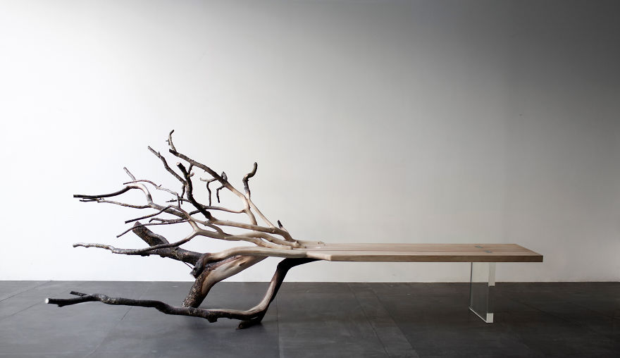 &#8220;Fallen Tree&#8221; Bench Perfectly Illustrates Where It Came From