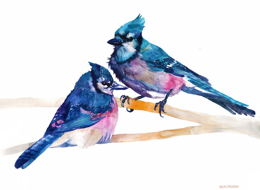 Colorful Birds Painted With Watercolors By Maja Wronska