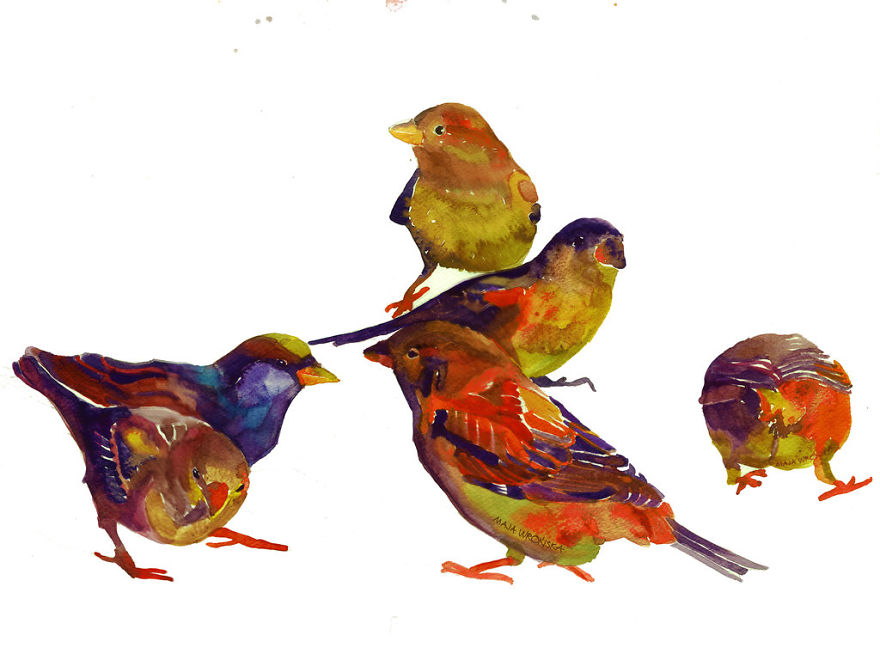 Colorful Birds Painted With Watercolors By Maja Wronska