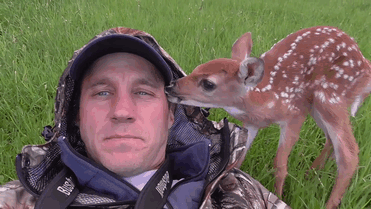 Baby Deer Refuses To Leave The Human Who Saved Her Life Baby Deer Refuses To Leave The Human Who Saved Her Life