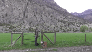 Baby Deer Refuses To Leave The Human Who Saved Her Life Baby Deer Refuses To Leave The Human Who Saved Her Life