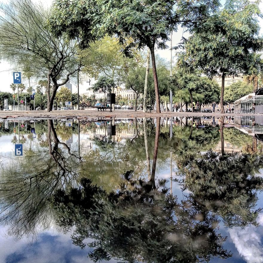 The Parallel Worlds Of Puddles (Part 2) The Parallel Worlds Of Puddles (Part 2)