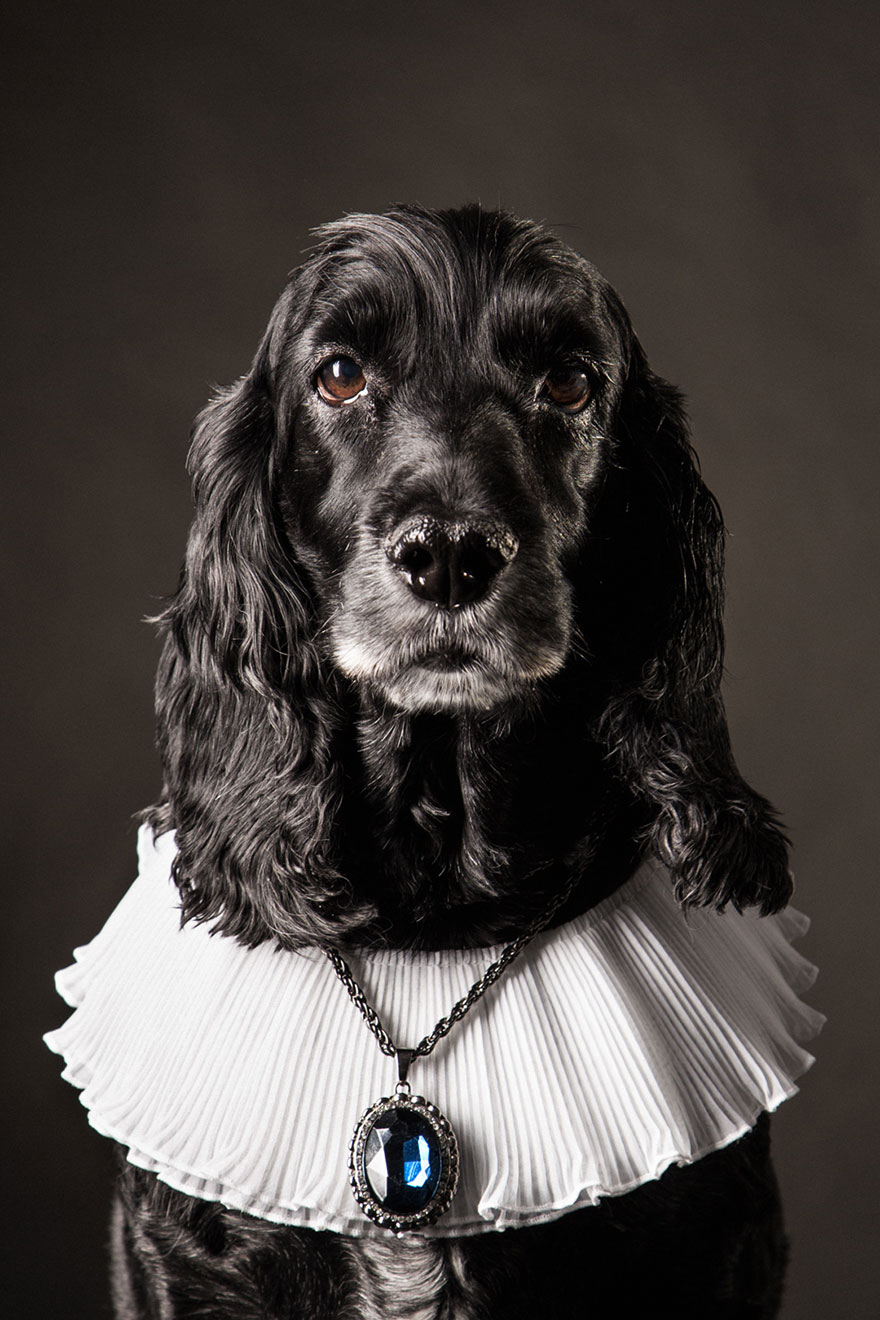 I Photograph Animals Looking As Noble Men From Classical Paintings