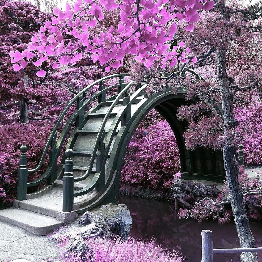 I Create A Surreal World Where Everything Is Pink I Create A Surreal World Where Everything Is Pink