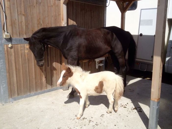 154 Of The Cutest Baby Animals Of All Time 154 Of The Cutest Baby Animals Of All Time