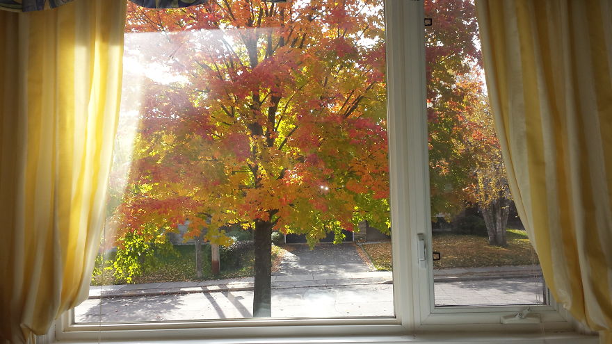 43 Rooms With A View You&#8217;d Like To Be Sitting In Right Now