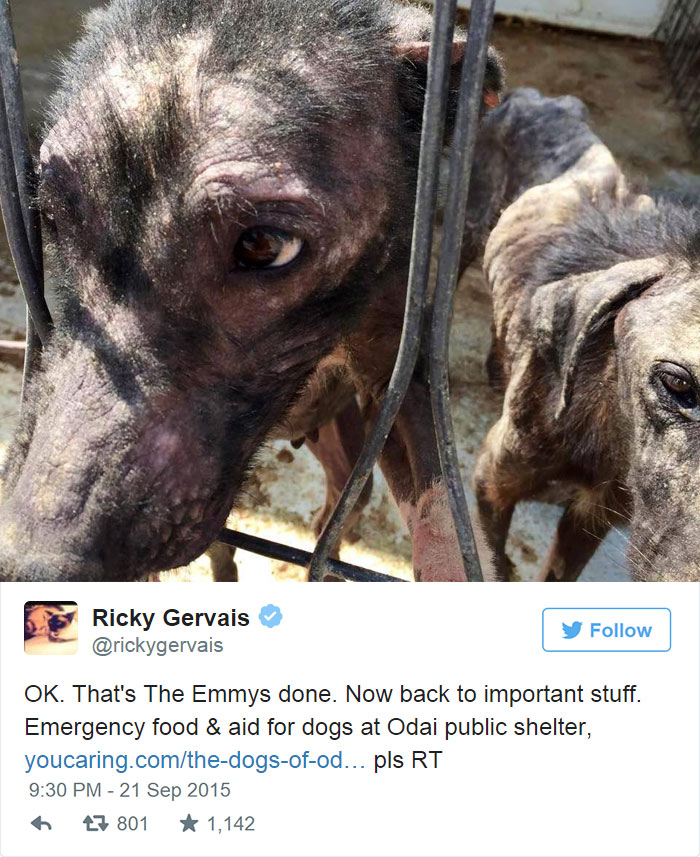 Ricky Gervais&#8217;s Tweet Saves 650 Starving And Abused Dogs