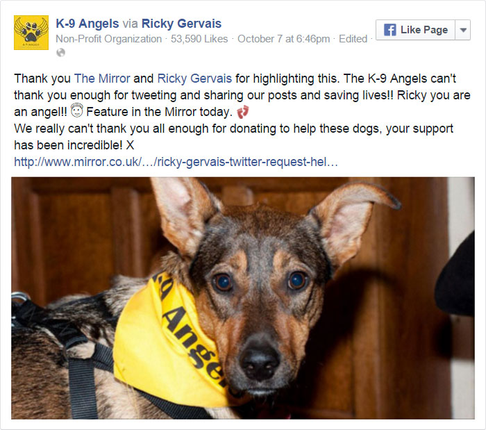 Ricky Gervais&#8217;s Tweet Saves 650 Starving And Abused Dogs