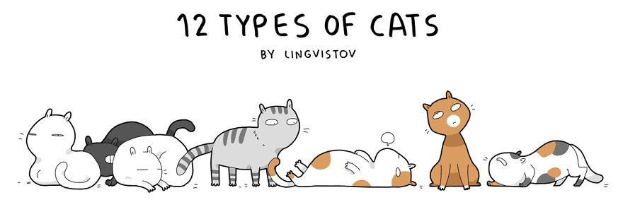 12 Types Of Cats 12 Types Of Cats