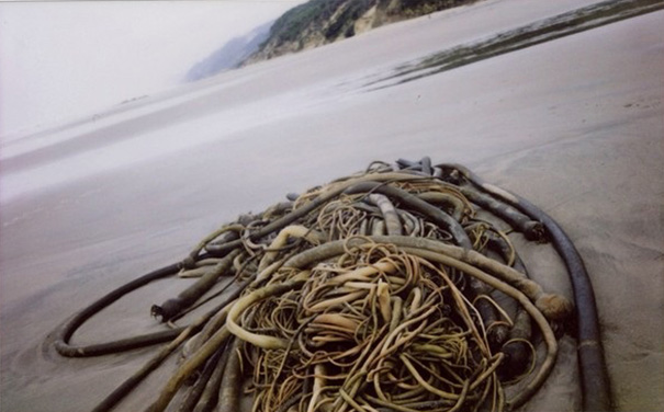 5-Year-Old Hawkeye Became The Youngest National Geographic Photographer And Now He’s Making A Book 5-Year-Old Hawkeye Became The Youngest National Geographic Photographer And Now He’s Making A Book