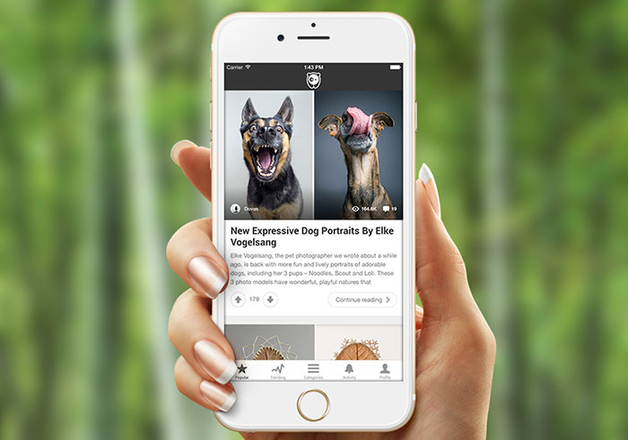 Hey Humans, Bored Panda Just Released An iOS App! What Do You Think?
