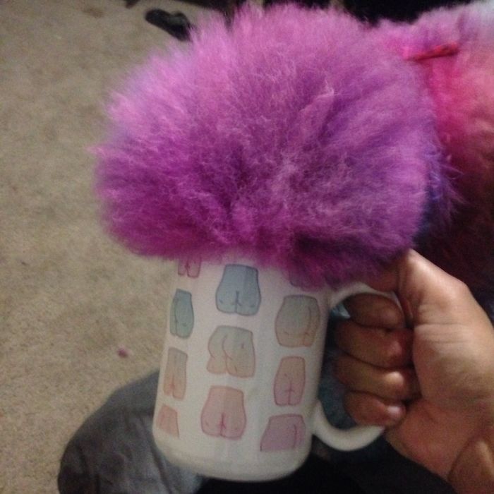 78 Dogs That Immediately Regretted Their Poor Life Choices 78 Dogs That Immediately Regretted Their Poor Life Choices