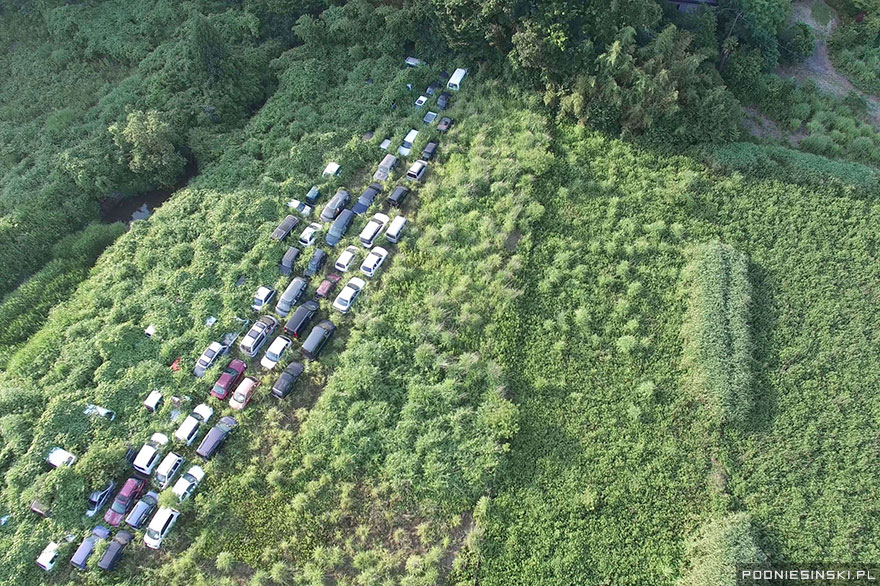 Never-Before-Seen Images Reveal How The Fukushima Exclusion Zone Was Swallowed By Nature