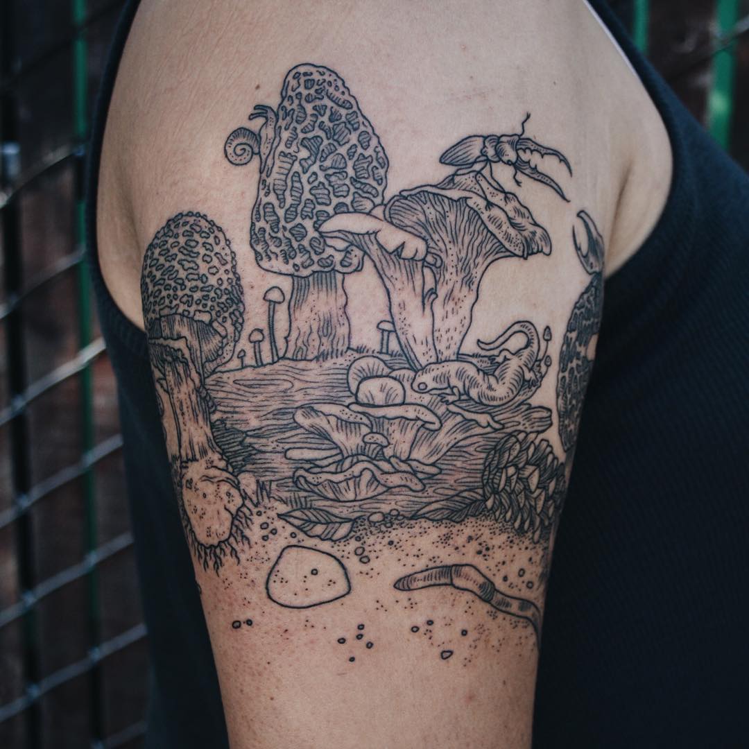 Magical Flora & Fauna Tattoos Inspired By Vintage Drawings Magical Flora & Fauna Tattoos Inspired By Vintage Drawings