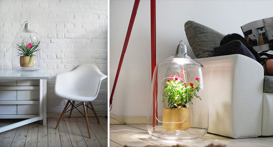 Plant Lamps That Will Give Your Flowers The Sunshine They Miss During Winter