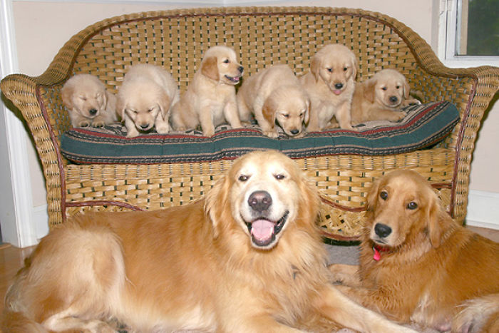 50 Proud Dog Mommies With Their Puppies