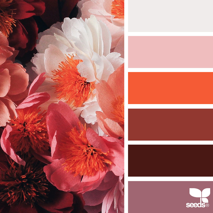 Nature-Inspired Color Palettes AKA Design Seeds For Designers, Crafters And Home Decorators