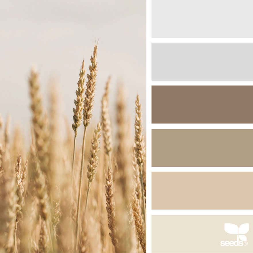 Nature-Inspired Color Palettes AKA Design Seeds For Designers, Crafters And Home Decorators