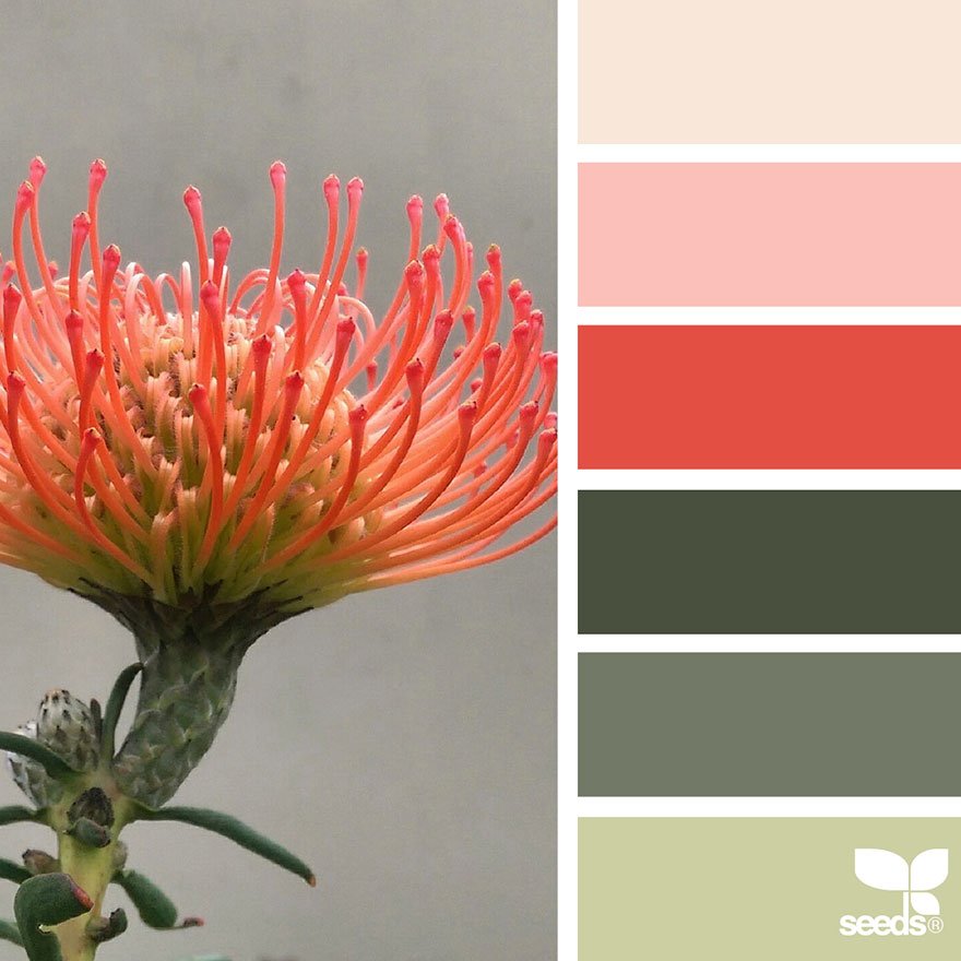 Nature-Inspired Color Palettes AKA Design Seeds For Designers, Crafters And Home Decorators