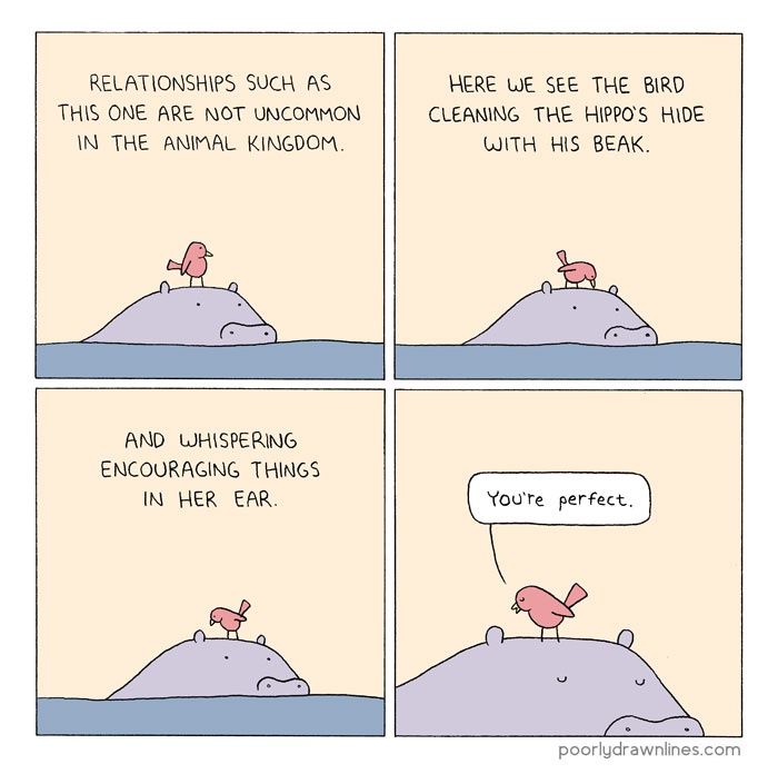 164 Funny Animal Comics Show Their Human-Like Problems 164 Funny Animal Comics Show Their Human-Like Problems