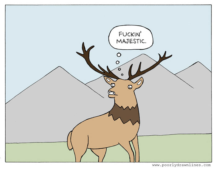 164 Funny Animal Comics Show Their Human-Like Problems 164 Funny Animal Comics Show Their Human-Like Problems