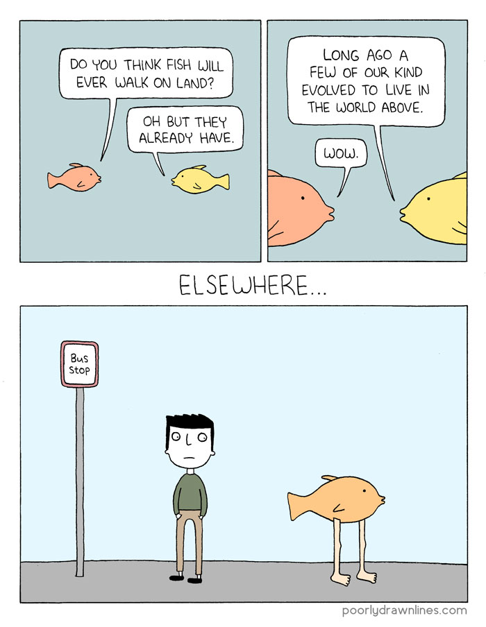 164 Funny Animal Comics Show Their Human-Like Problems 164 Funny Animal Comics Show Their Human-Like Problems