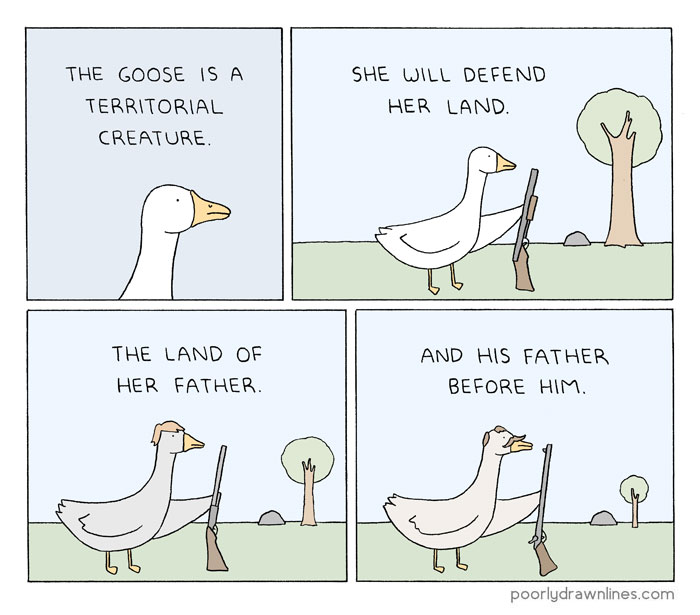 164 Funny Animal Comics Show Their Human-Like Problems 164 Funny Animal Comics Show Their Human-Like Problems