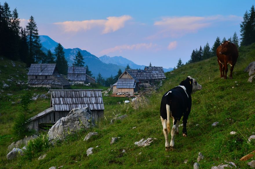 I Have Been Living In The Mountains For One Month